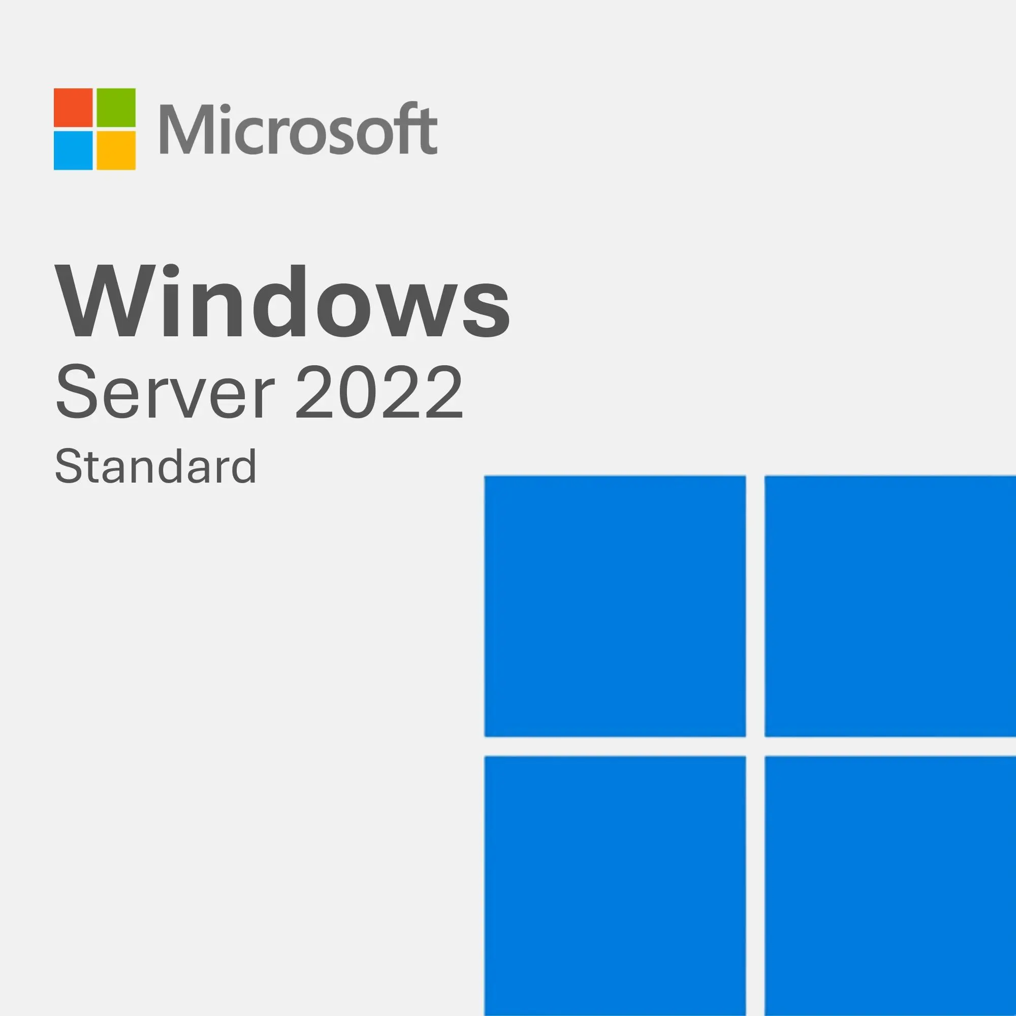 Windows Server 2022 Standard product artwork